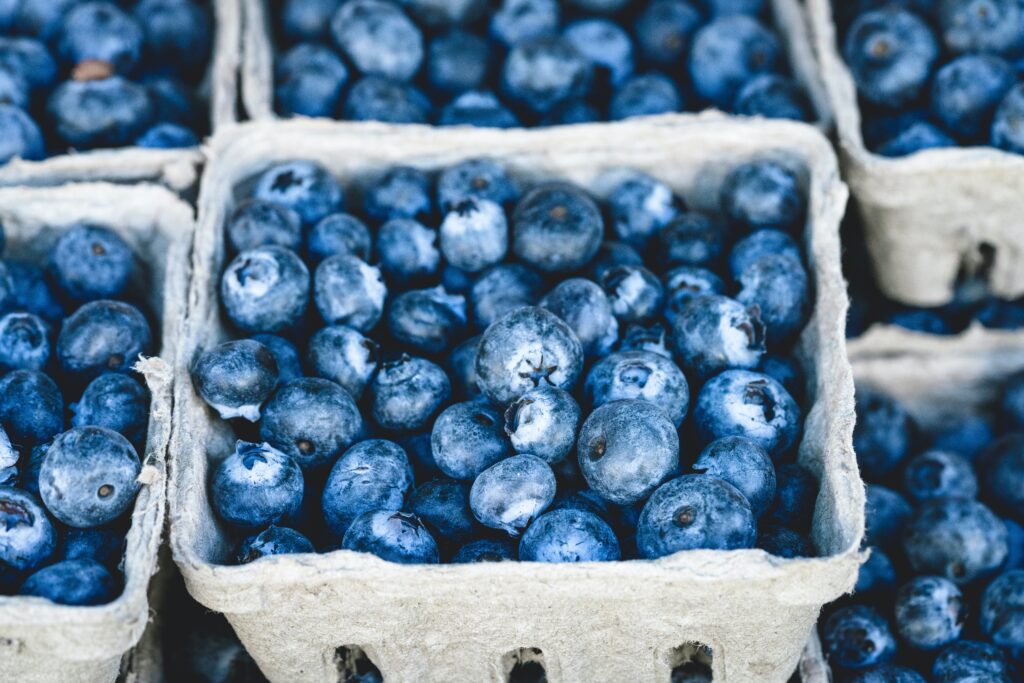 6 Antioxidant-Rich Foods for Seniors: Nourish Your Health and Age Gracefully