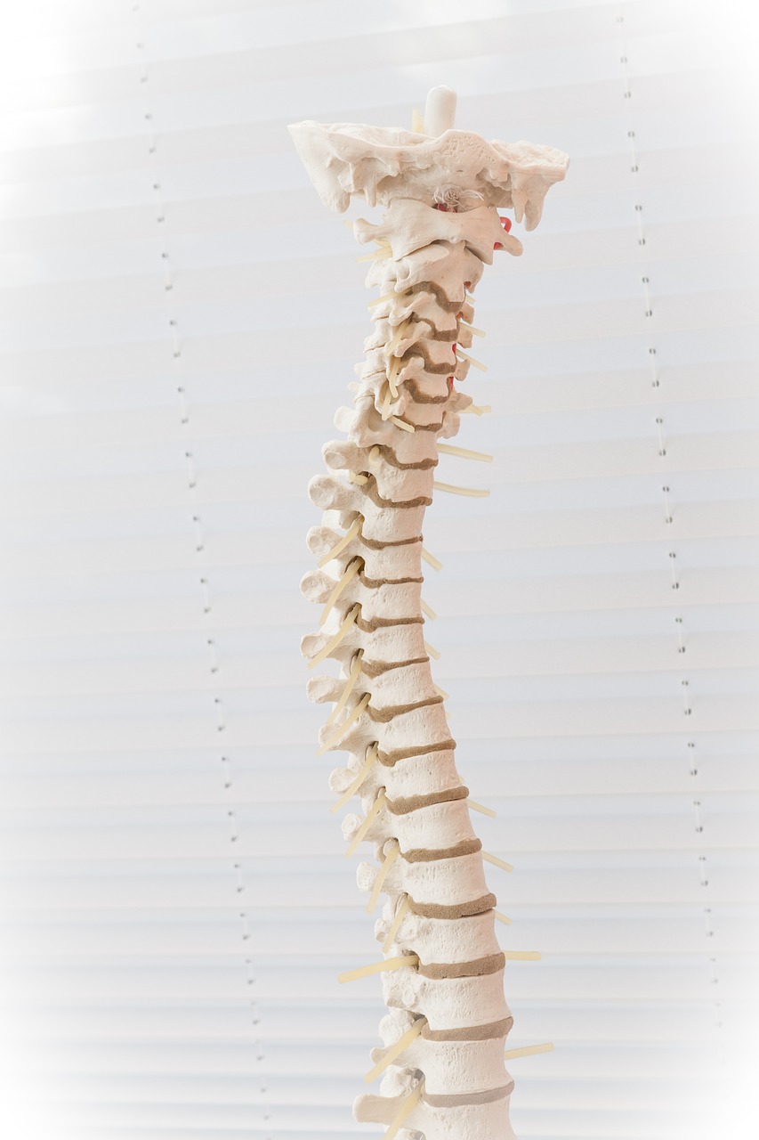 Balancing Act: Managing Osteoporosis for Strong Bones