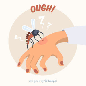 5 Misconceptions About Dengue Fever: Debunking Common Myths for Clarity