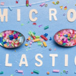 How Microplastics Are Invading Human Brains: What Scientists Are Urging in 2024