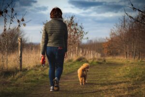 How Nature Walks Improve Mental and Physical Wellbeing