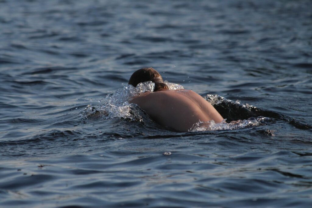 Preventing Brain Eating Amoeba: Essential Water Safety Tips