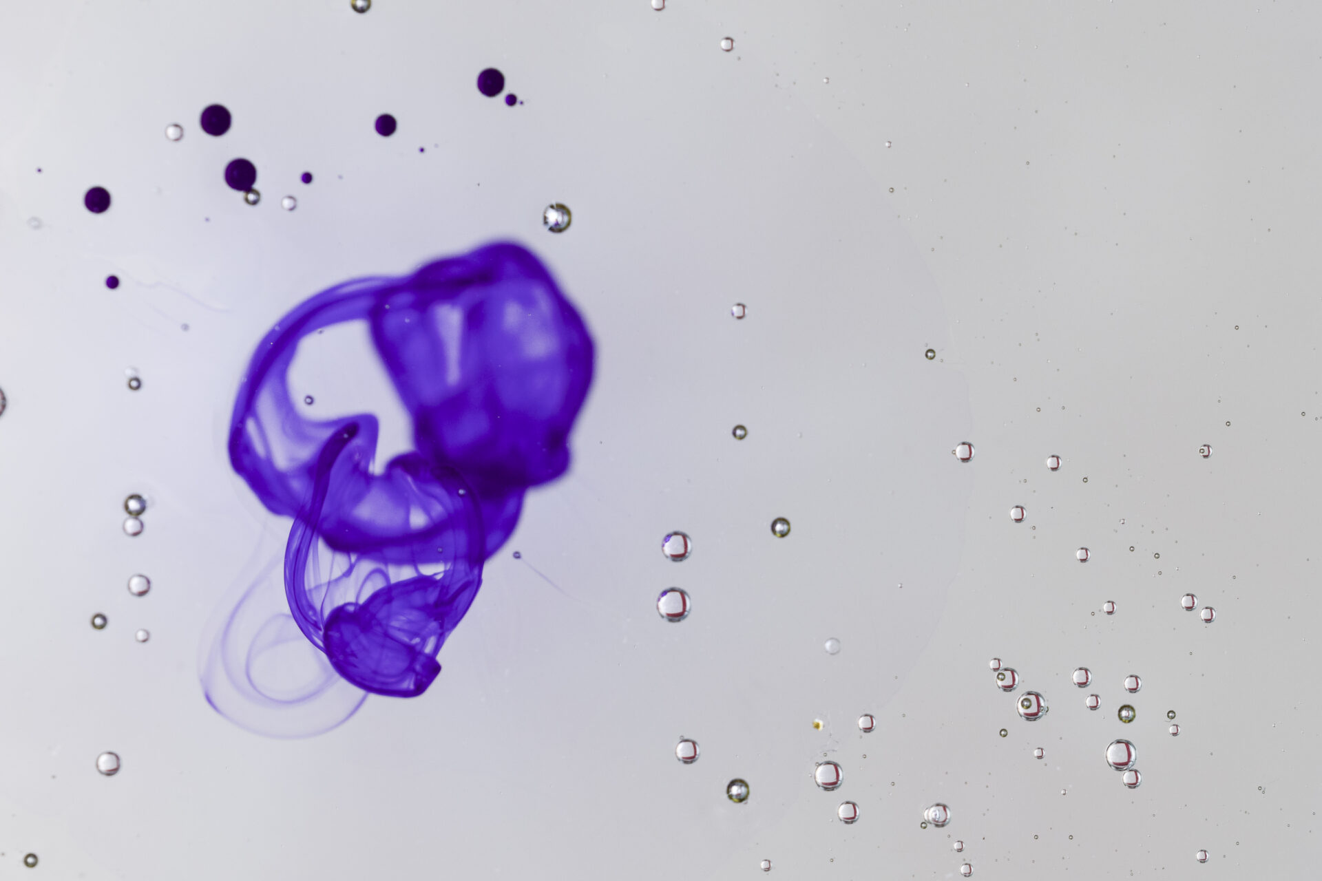 How the Brain-Eating Amoeba Attacks: A Scientific Explanation of PAM