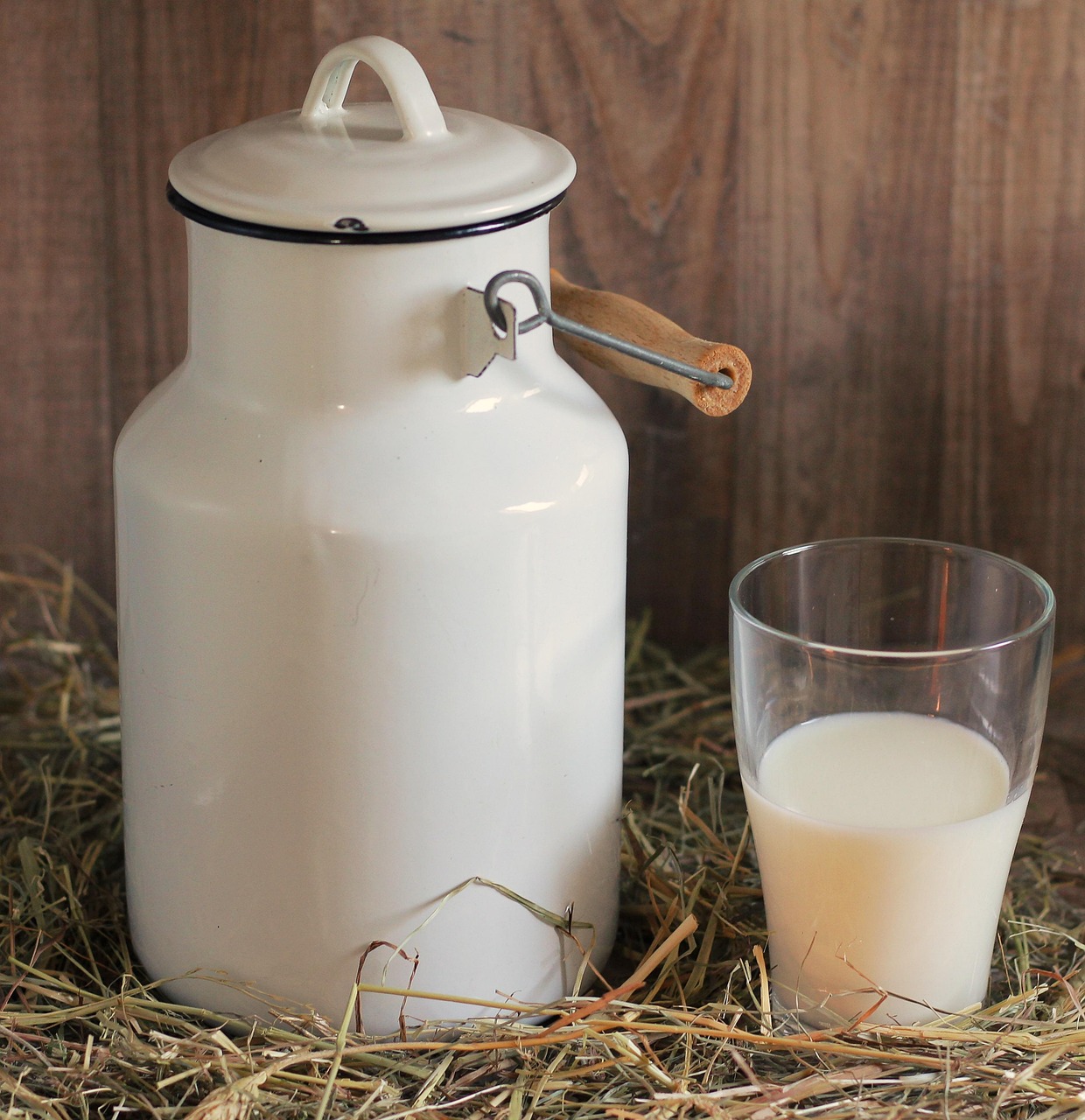 Is Dairy Messing With Your Digestion? Understanding the Real Impact of Milk and Its Alternatives