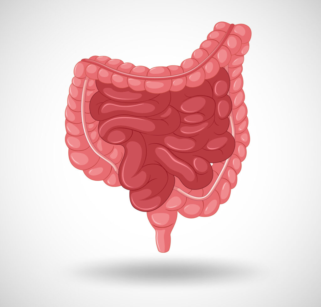 10 Signs Your Gut Health Is Poor